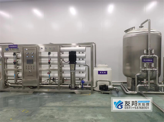 丹陽生物20噸反滲透系統